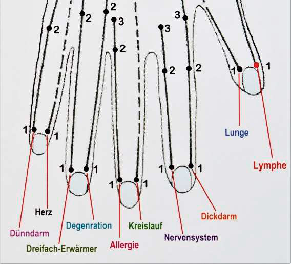 Bild von den Behandlungspunkten der Hand mit dem Monolux Combi